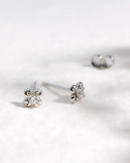 Blossom Flyte Honey Flower Glitz Stud Earrings