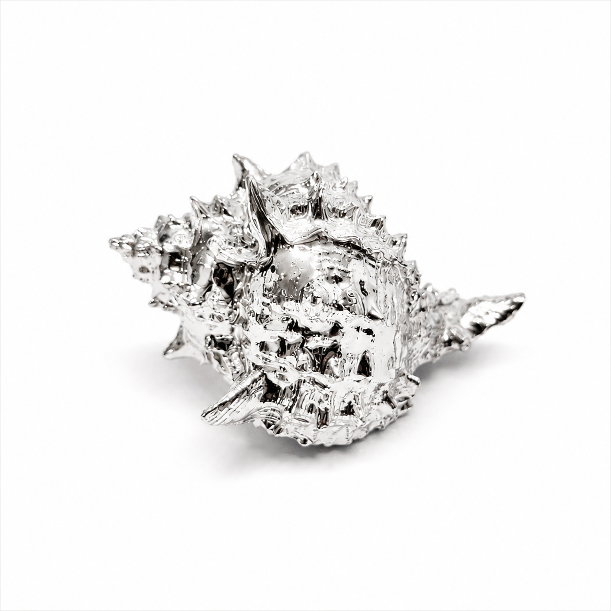 Argenesi® Sterling Silver Murex Shell