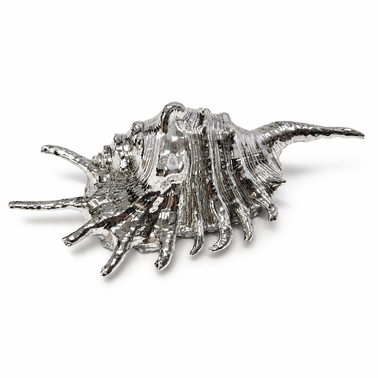 Argenesi® Sterling Silver Spider Shell