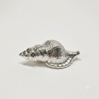 Argenesi® Sterling Silver Cowrie Shell