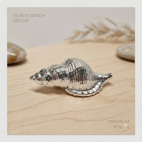 Argenesi® Sterling Silver Cowrie Shell