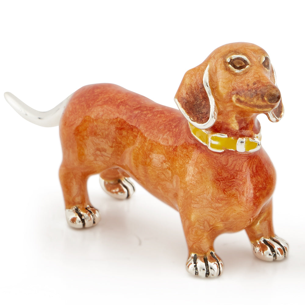 Dachshund Large