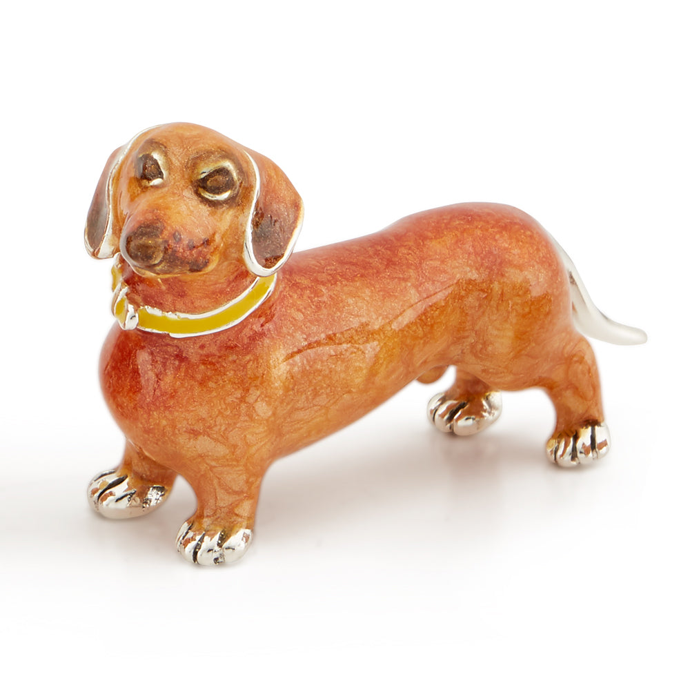 Dachshund Medium