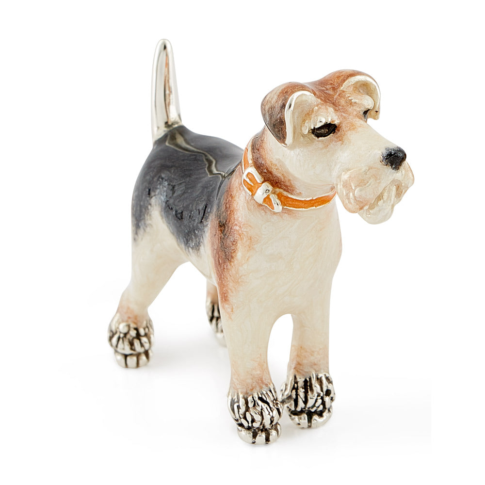 Fox Terrier Large