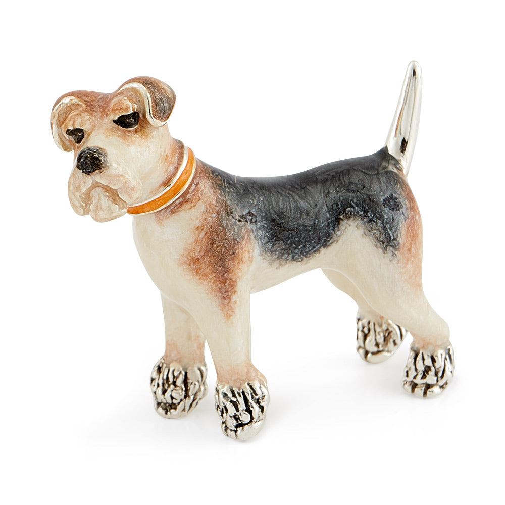 Fox Terrier Small
