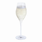 Crystal Glitz Prosecco Flute set of 2