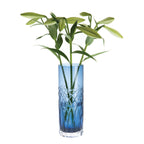 Dartington Crystal Florabundance Large Cylinder Vase – 30cm