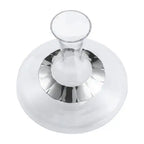 Pewter and Glass Wine Celebration Decanter